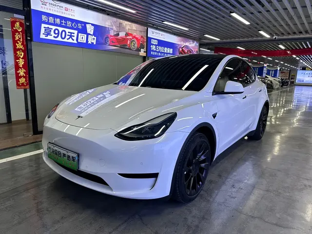Tesla Model Y 2022 Rear-Wheel Drive Version