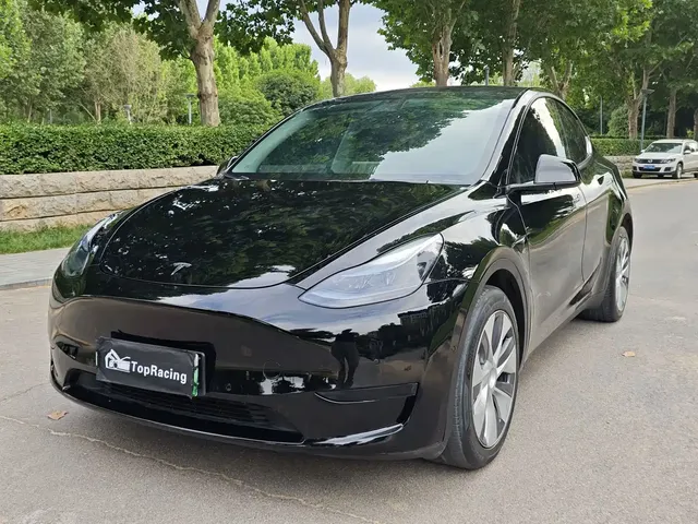 Tesla Model Y 2022 Rear-Wheel Drive Version