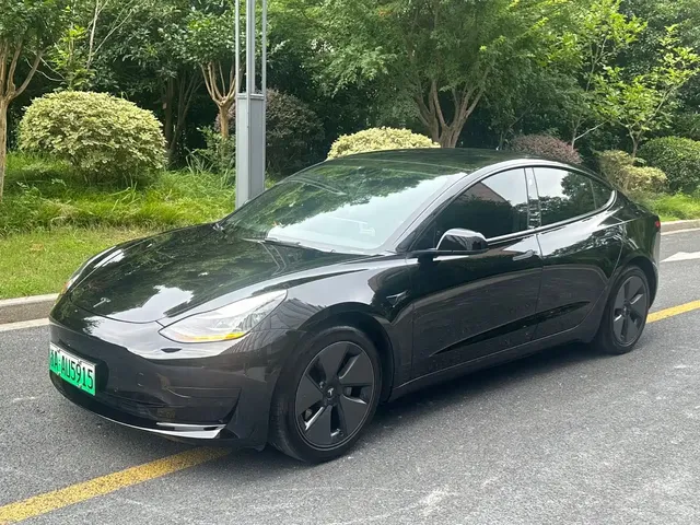 Tesla Model 3 2022 Model Rear-Wheel Drive Version