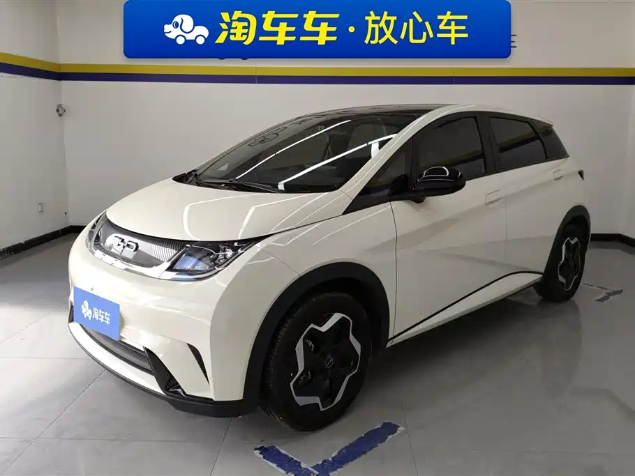BYD Dolphin 2021 Model 405km Fashion Edition