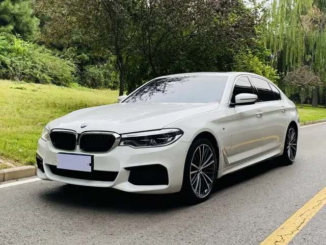BMW 5 Series 2020 530Li Exclusive M Sport Package