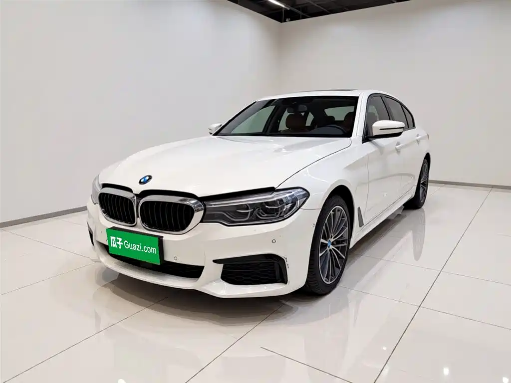 BMW 5 Series 2020 530Li Exclusive M Sport Package