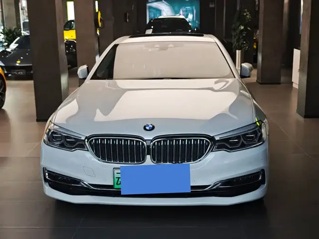 BMW 5 Series New Energy 2019 530Le Luxury Package