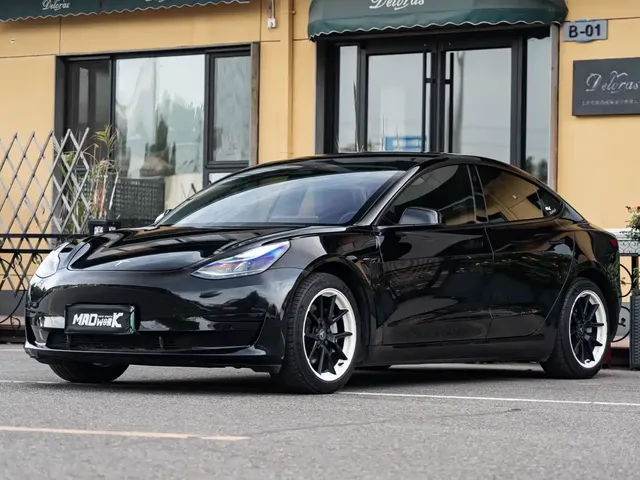 Tesla Model 3 2021 Facelift Standard Range RWD Upgrade 3D1