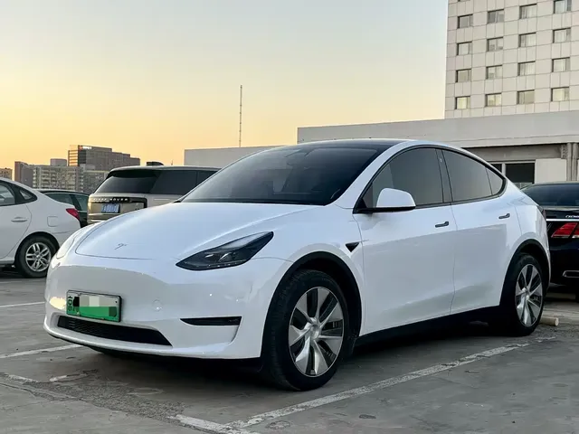 Tesla Model Y 2022 Rear-Wheel Drive Version