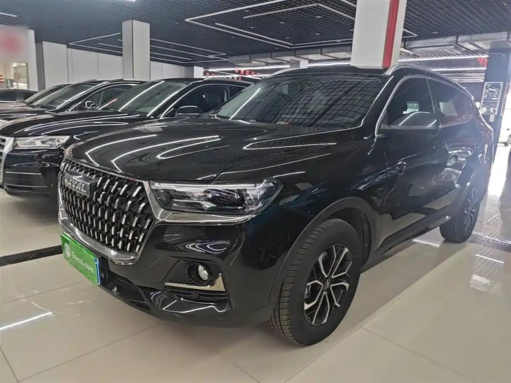 Haval H6 2023 National Trend Edition 1.5T Automatic Urban