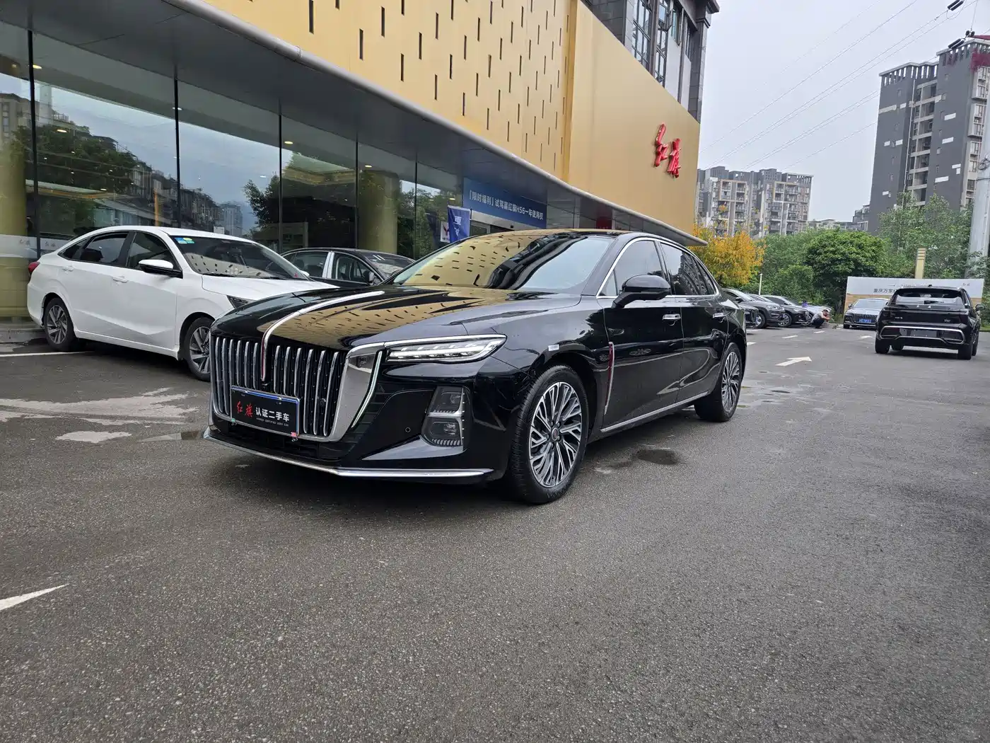 Hongqi H5 2025 2.0T Automatic Flag Celebration 500,000 Units Anniversary Edition