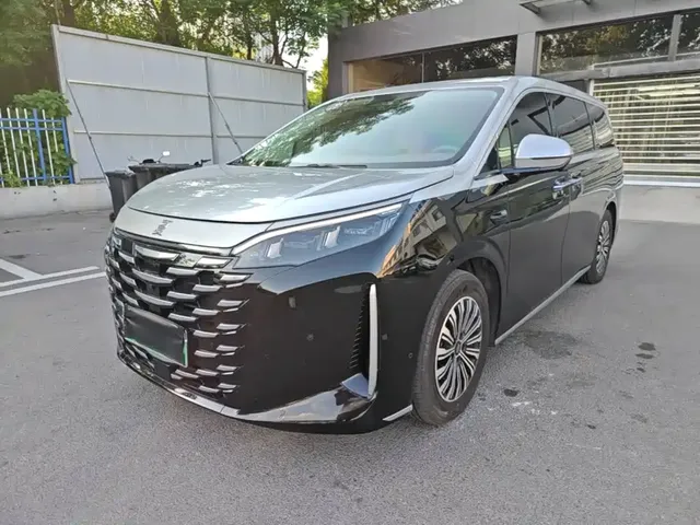 BYD Xia 2025 DM-i 1.5T 180km Surpass Edition