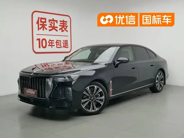 Hongqi H9 2024 2.0T Qi Enjoy Private Fashion Edition