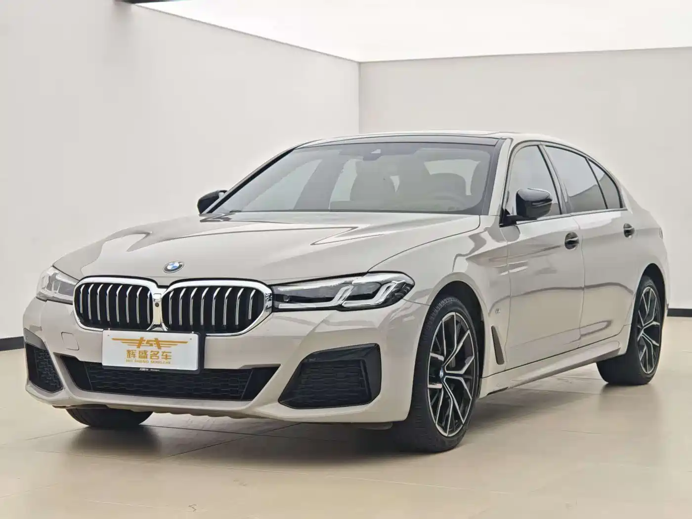 BMW 5 Series 2021 530Li Leading M Sport Package