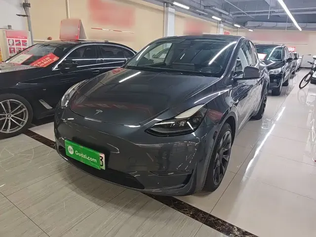 Tesla Model Y 2021 Long Range All-Wheel Drive 3D7