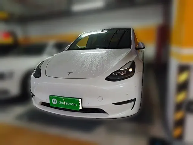 Tesla Model Y 2021 Standard Range Rear-Wheel Drive