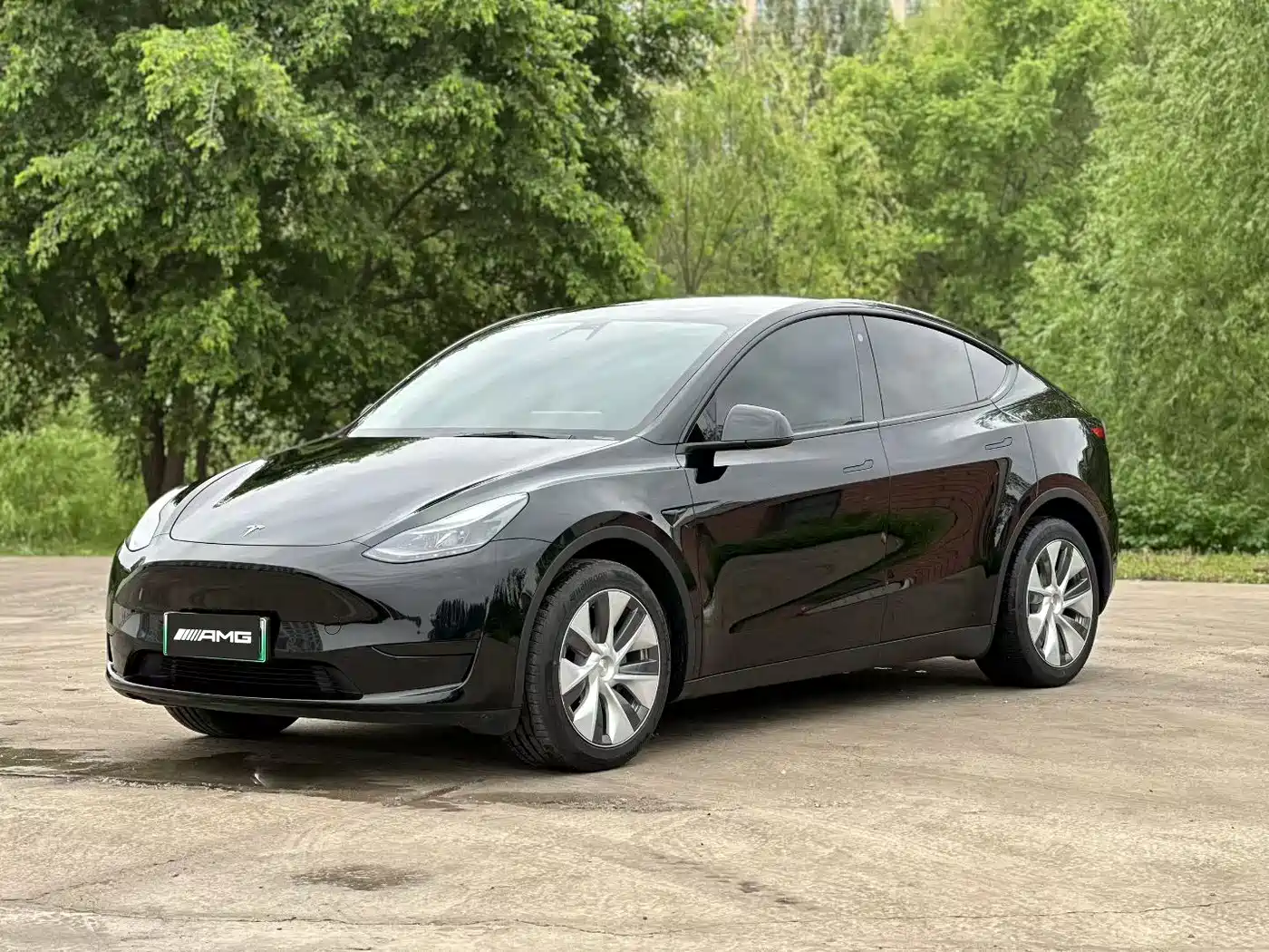 Tesla Model Y 2022 Rear-Wheel Drive Version