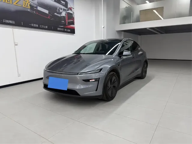 Tesla Model Y 2025 Rear-Wheel Drive