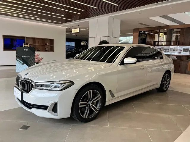 BMW 5 Series 2021 530Li Leading Luxury Package