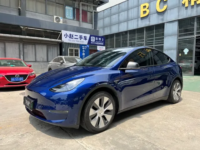 Tesla Model Y 2021 Standard Range Rear-Wheel Drive