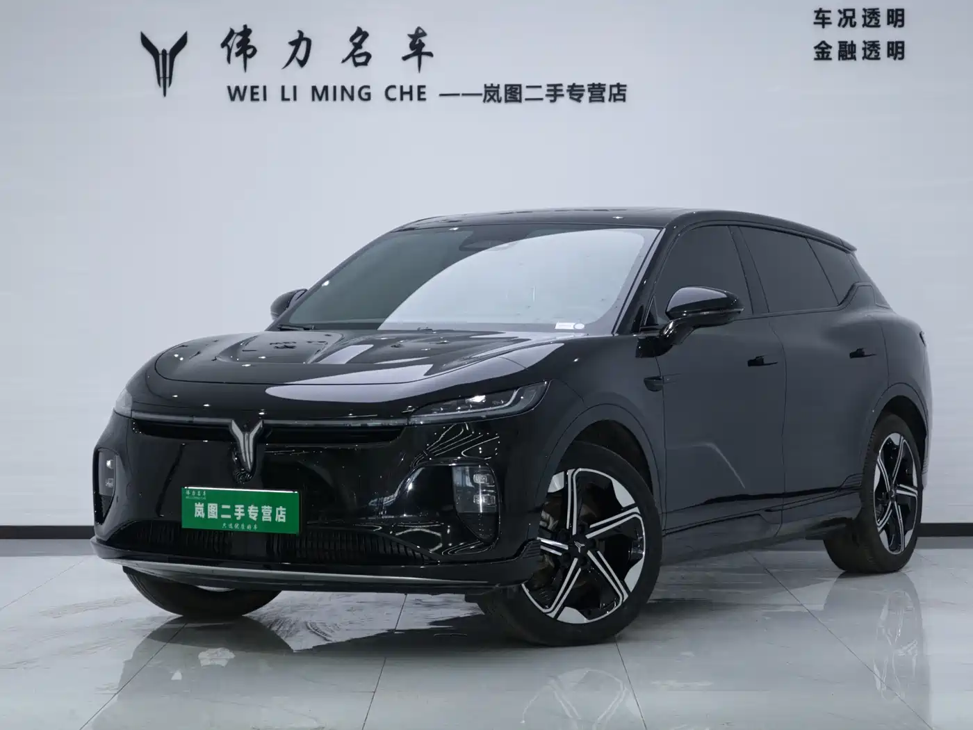Voyah Auto Voyah Zhiyin 2024 Long Range Super Charging Edition