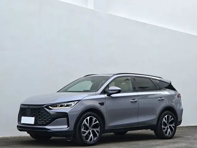 BYD Tang New Energy 2025 DM-i 115KM Premium