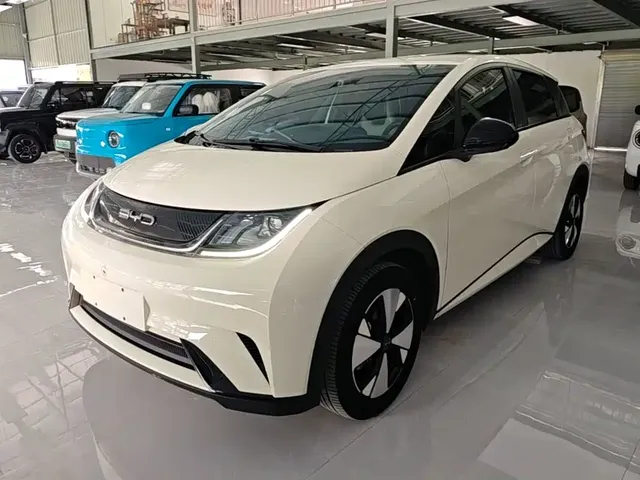 BYD Dolphin 2023 420km Freedom Edition