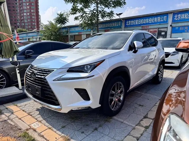 Lexus NX 2018 Model 300 AWD Fengshang Edition