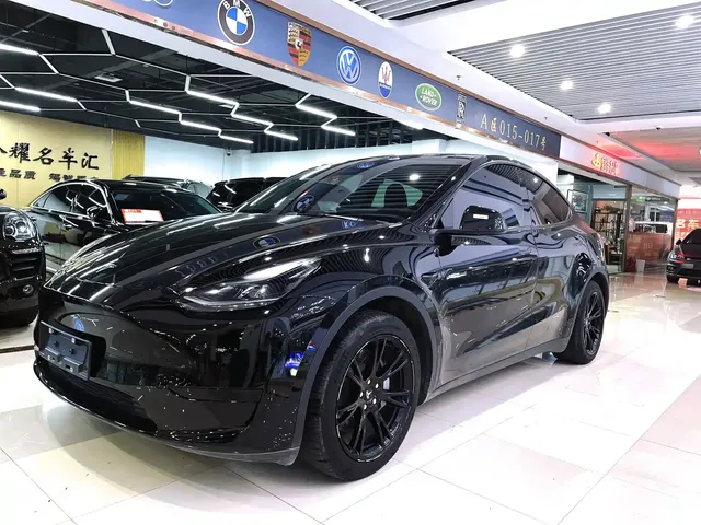 Tesla Model Y 2022 Rear-Wheel Drive Version