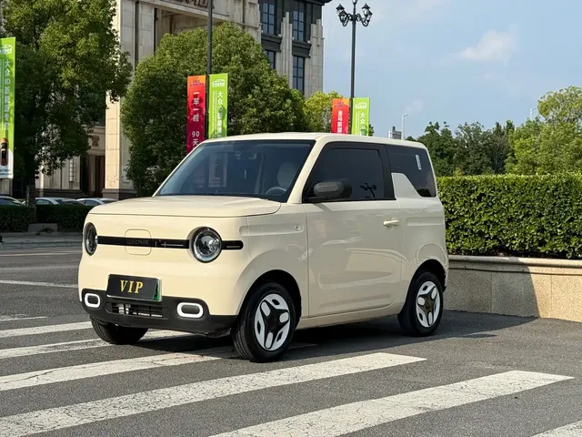 Geely Galaxy Panda 2025 Panda mini 210km Vitality Bear