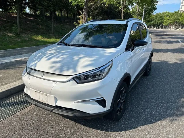 BYD Yuan Pro 2021 401KM Premium Model