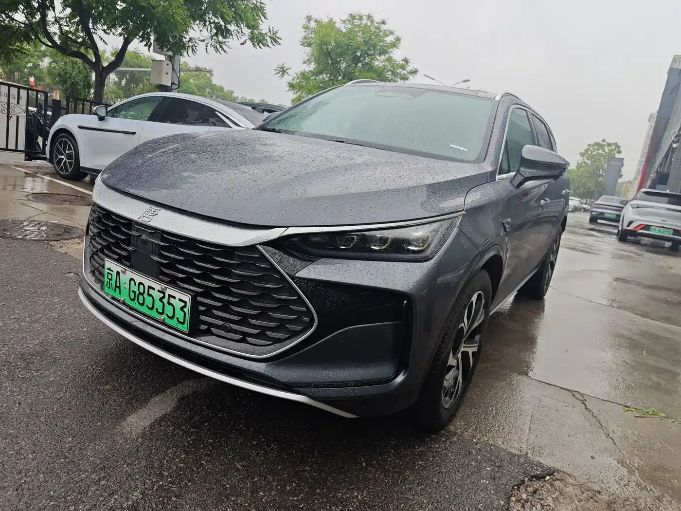 BYD Tang New Energy 2025 Smart Driving Edition DM-i 115KM Flagship