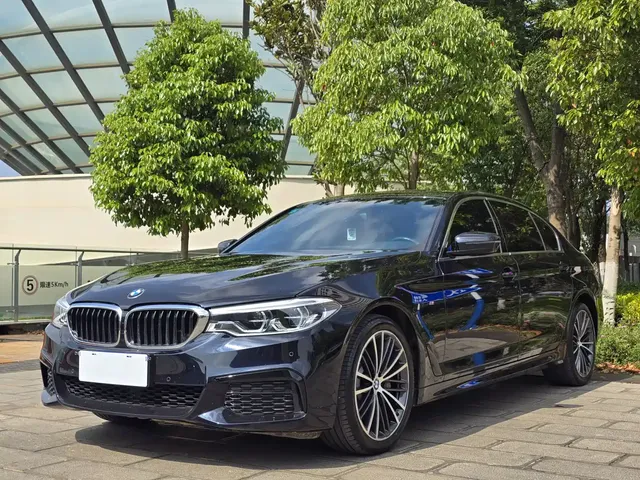 BMW 5 Series 2020 530Li Leading M Sport Package