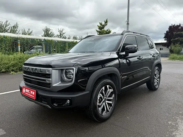 Haval Big Dog 2024 1.5T DCT Border Collie Edition