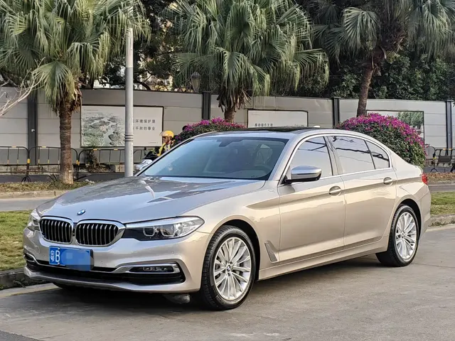 BMW 5 Series 2019 530Li Leading Luxury Package