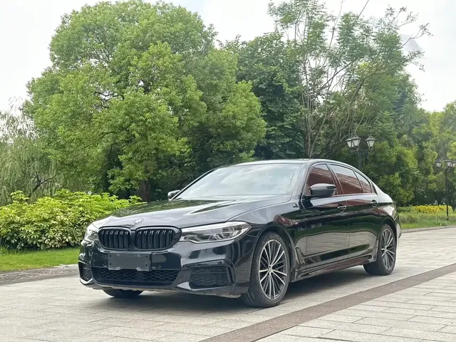 BMW 5 Series 2020 530Li Leading M Sport Package