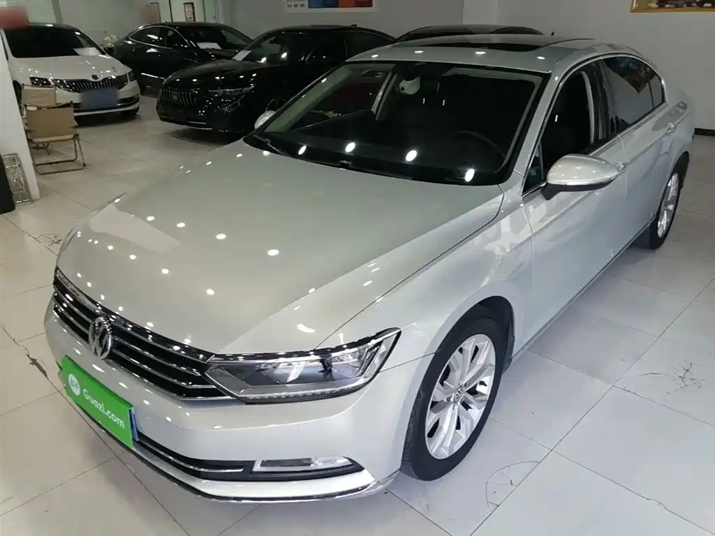 Volkswagen Magotan 2019 330TSI DSG Luxury Class China VI