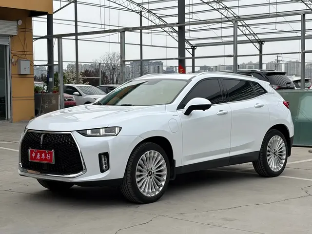 WEY P8 2018 2.0T Flagship Model
