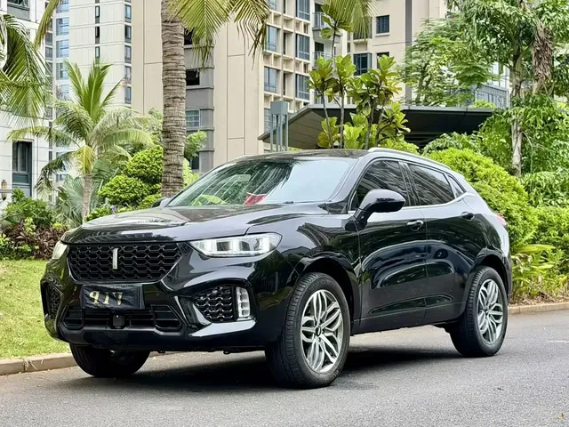 WEY VV5 2019 Upgrade 2.0T 2WD Super Luxury Type China VI