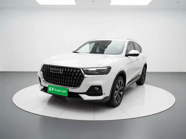 Haval H6 2023 National Trend Edition 1.5T Automatic Champion