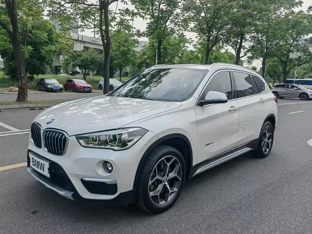BMW X1 2018 xDrive20Li Premium Model