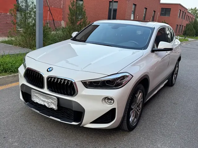 BMW X2 (Import) 2019 sDrive25i Leading M Off-Road Package China VI