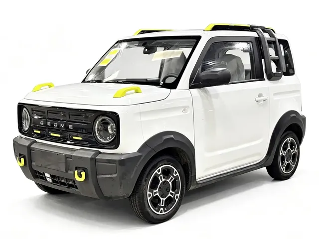 Geely Galaxy Panda 2025 Model Year 210km Panda Kart