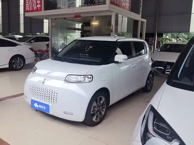 Ora White Cat 2022 Upgraded 305km Luxury (NMC)