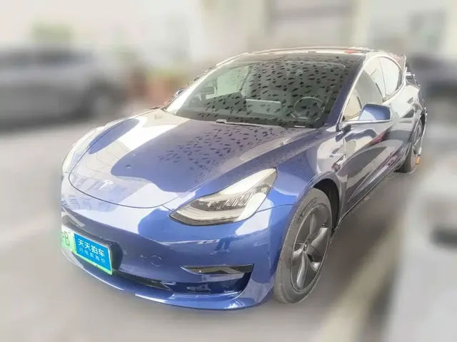 Tesla Model 3 2020 Standard Range Rear-Wheel Drive Upgrade
