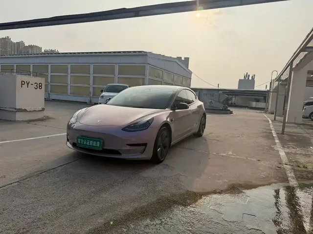Tesla Model 3 2022 Model Rear-Wheel Drive Version