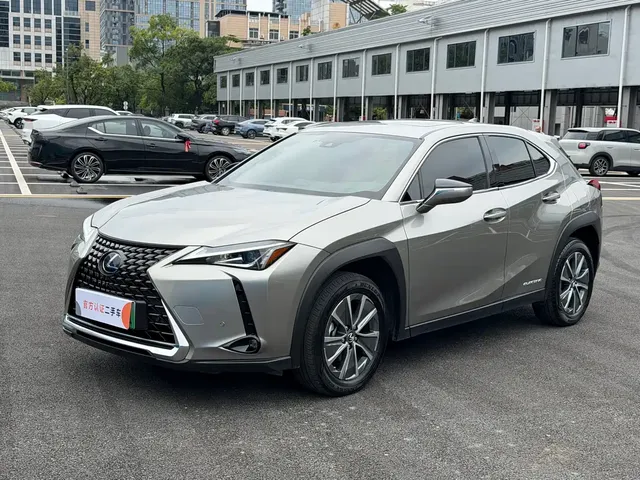 Lexus UX Electric 2020 300e Pure Yue Edition