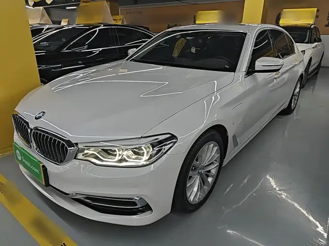 BMW 5 Series New Energy 2020 530Le Range Upgrade Luxury Package