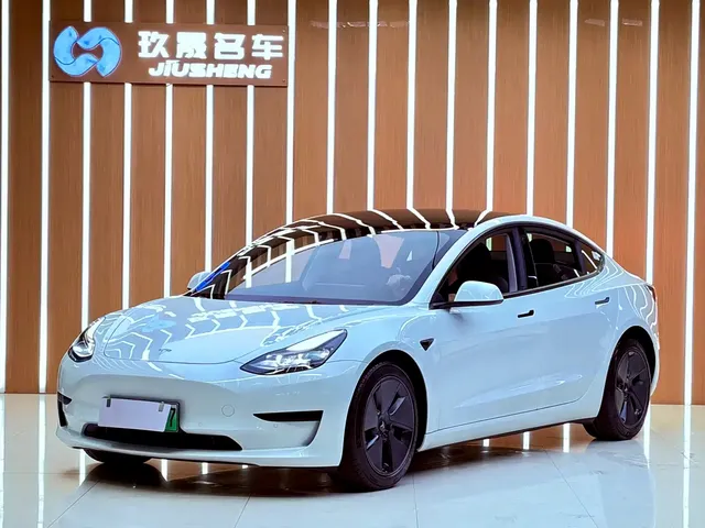 Tesla Model 3 2021 Standard Range Rear-Wheel Drive Upgrade 3D6