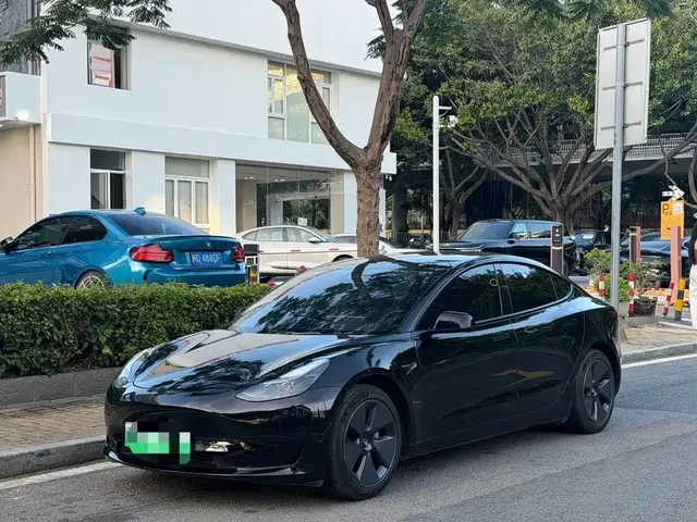 Tesla Model 3 2022 Model Rear-Wheel Drive Version