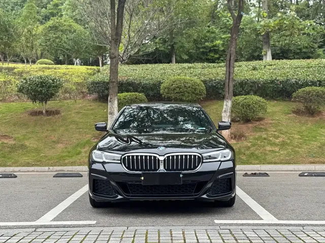 BMW 5 Series 2021 530Li Premium M Sport Package
