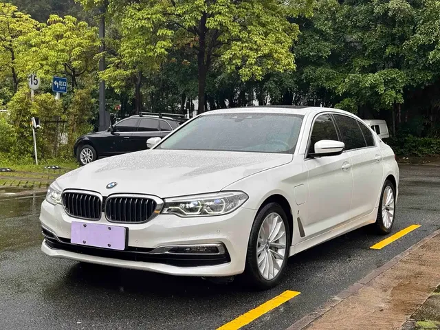BMW 5 Series New Energy 2020 530Le Luxury Package