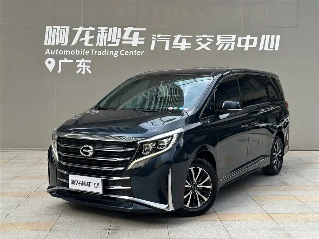 GAC Trumpchi M8 2021 Leading Show Series 390T Premium Edition