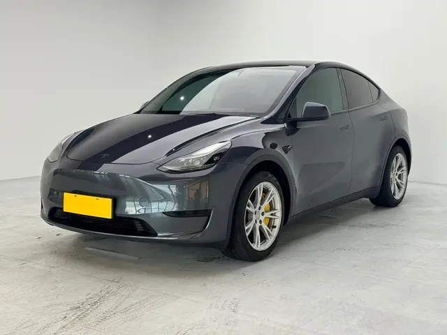 Tesla Model Y 2022 Rear-Wheel Drive Version